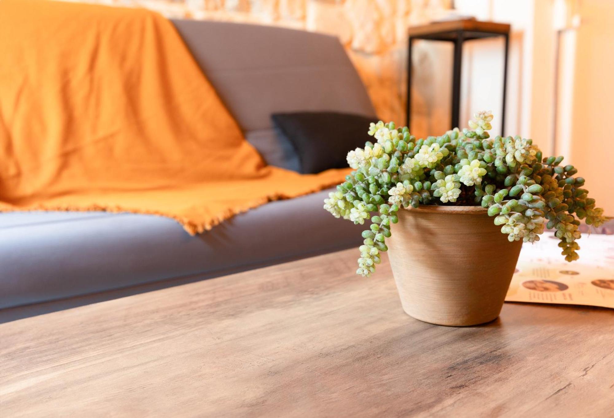 Immeuble 3 Apparts Centre Historique St Gilles Maisoncarreeconciergerie Saint-Gilles  Εξωτερικό φωτογραφία
